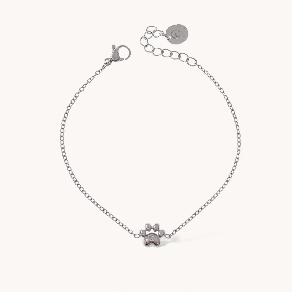 Zampa-Bracciale in Acciaio - BAC-103-AA4566B