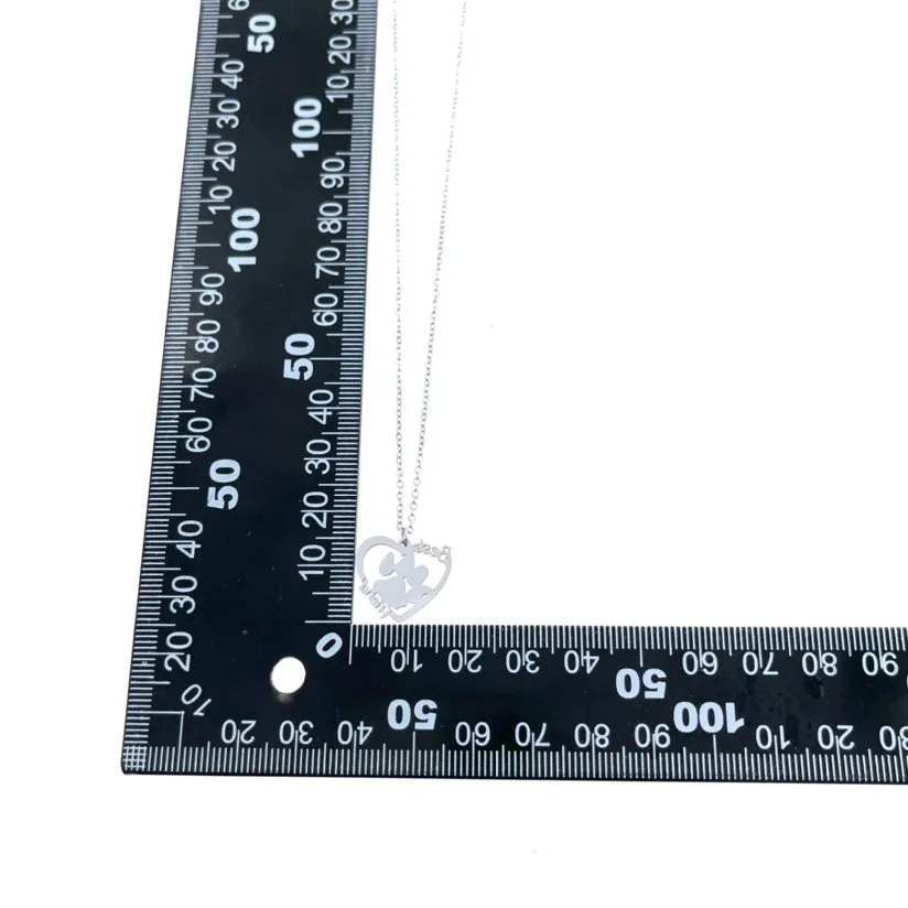 Best Friend zampa - BAC7639-Zampa nel Cuore-Collana Corta in Acciaio