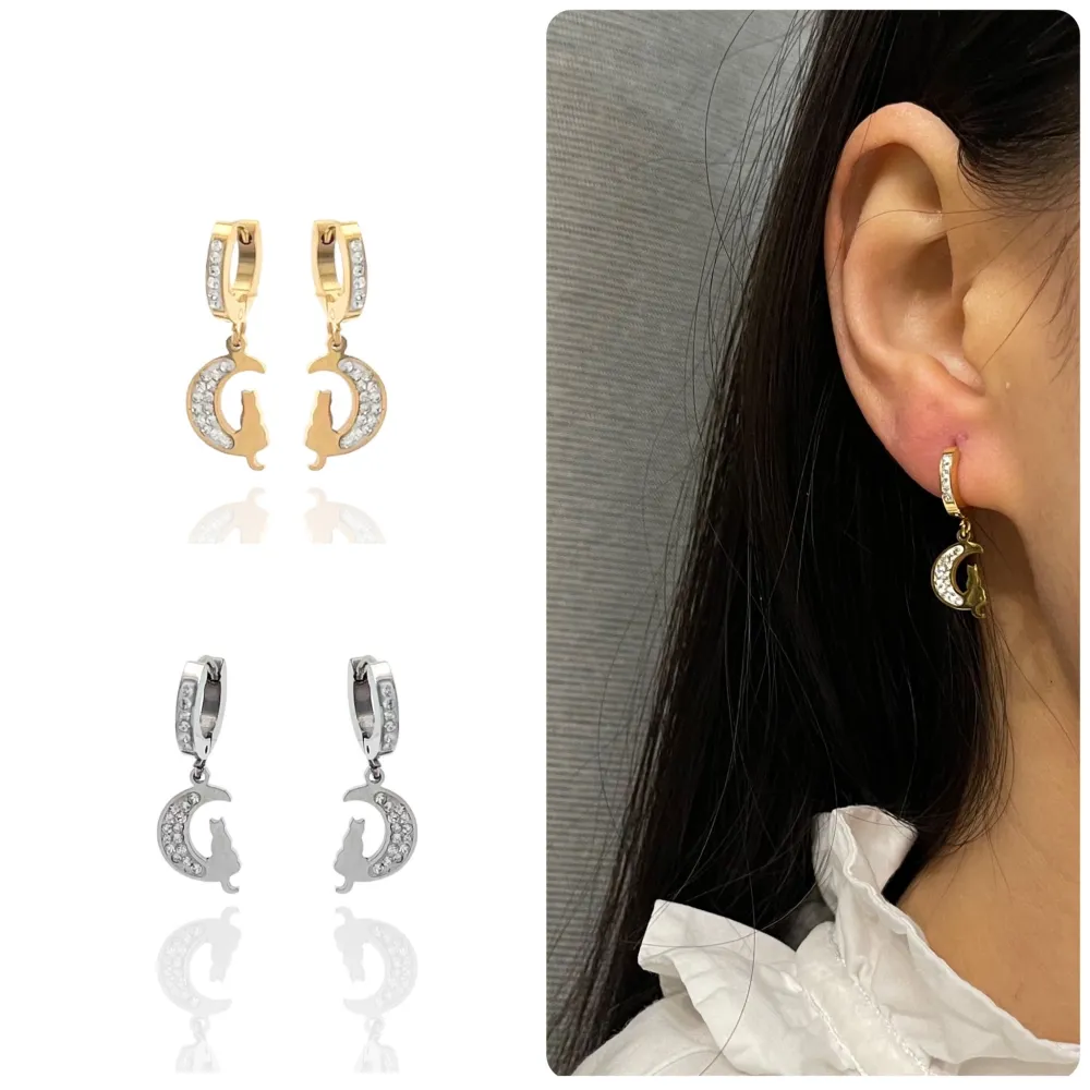 Gatto sulla Luna-Orecchini in Acciaio - OAP-450-585