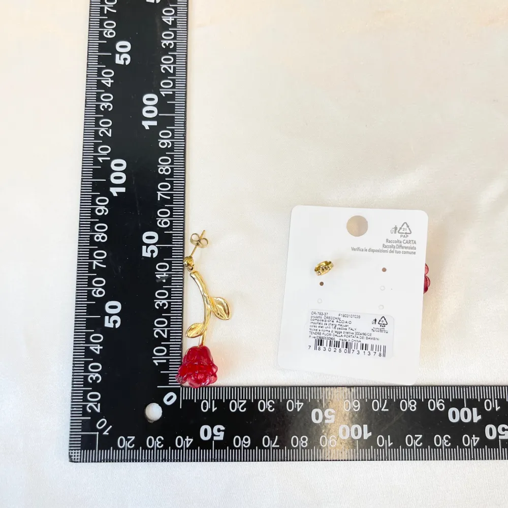 Rosa -Orecchini in Acciaio - OAP-783-37