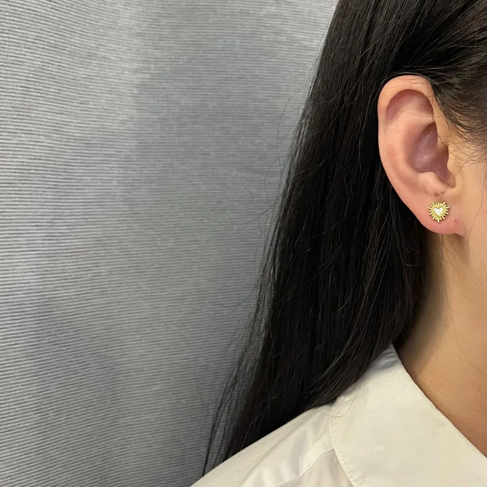 Sacro Cuore -12 Paia Orecchini in Acciaio - OPA-103-AA412E