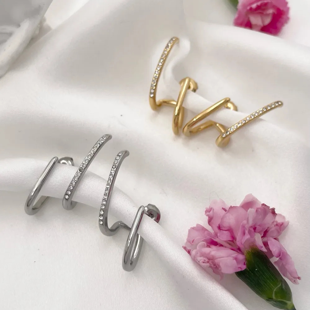 Orecchini in Acciaio - OAP-103-AA1355E