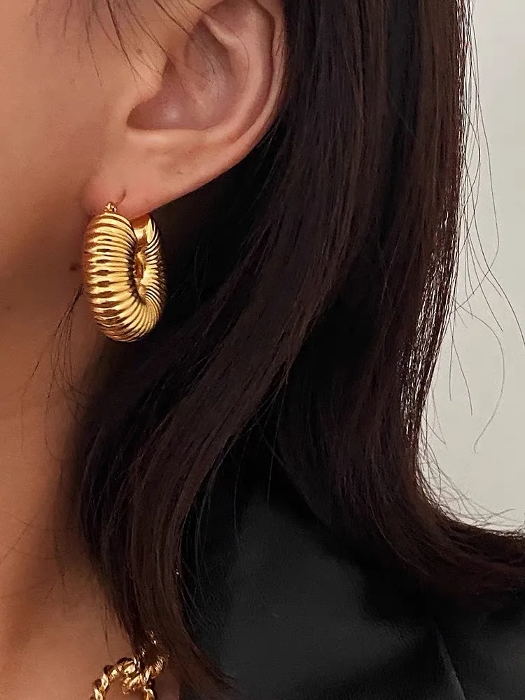 Cerchio-Orecchini in Acciaio - OAP-450-471