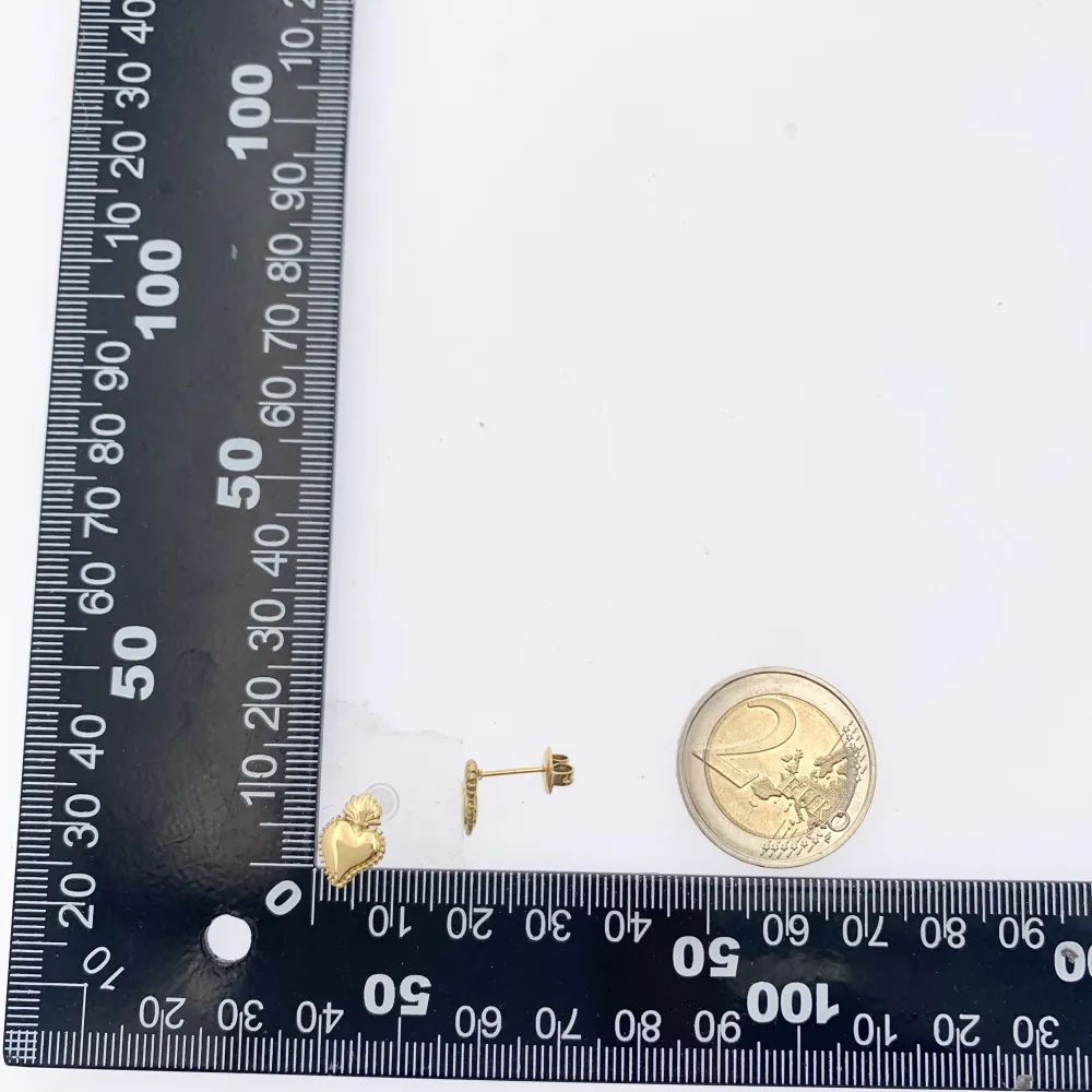 Sacro Cuore-12paia Orecchini a Lobo in Acciaio - OPA-103-AA2693E