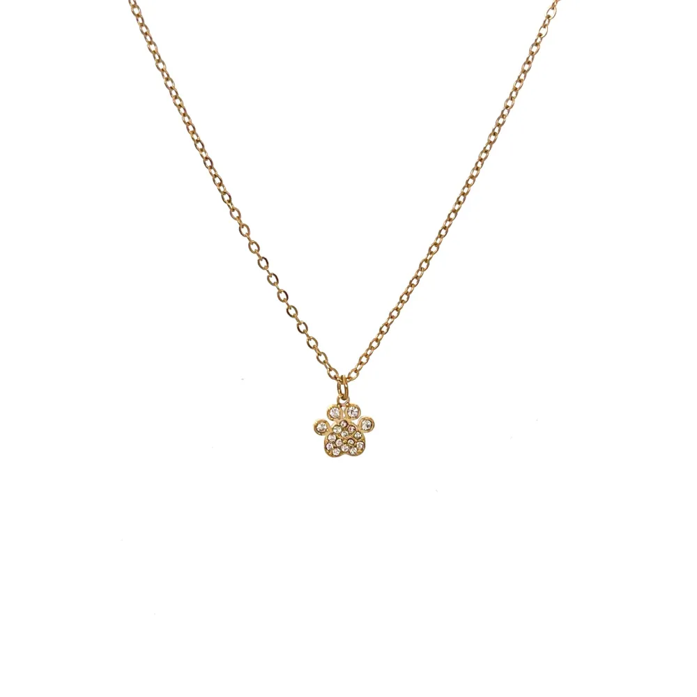 Zampa con Zirconia-Collana Corta in Acciaio - CAC-103-AA1989N