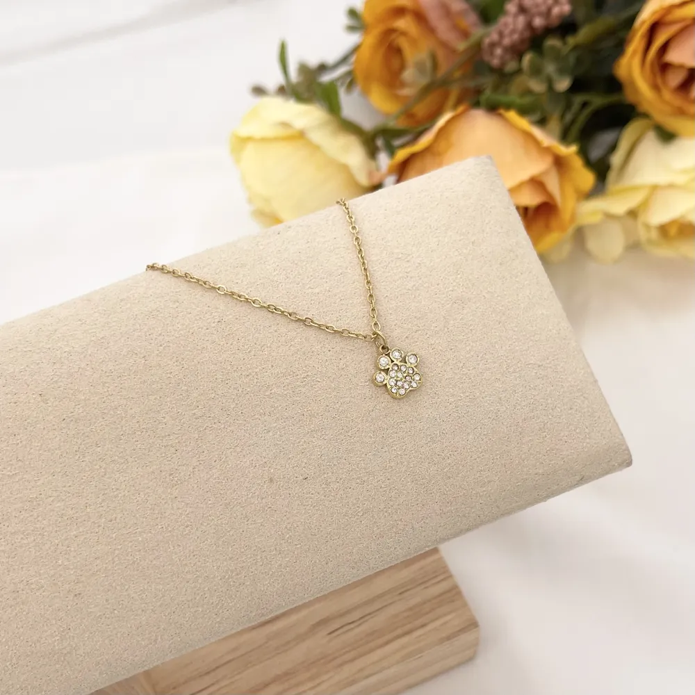 Zampa con Zirconia-Collana Corta in Acciaio - CAC-103-AA1989N