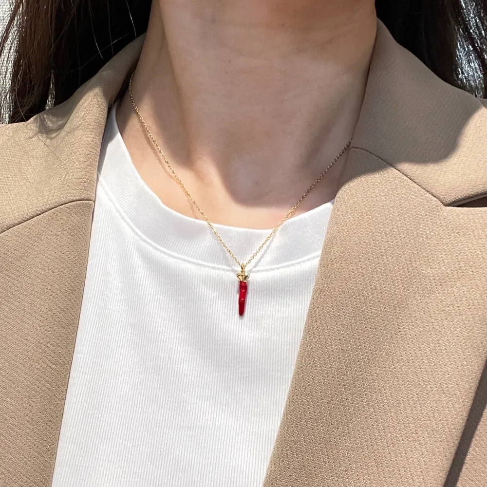 Cornino con Corona-Collana Girocollo in Acciaio - CAC-413-278