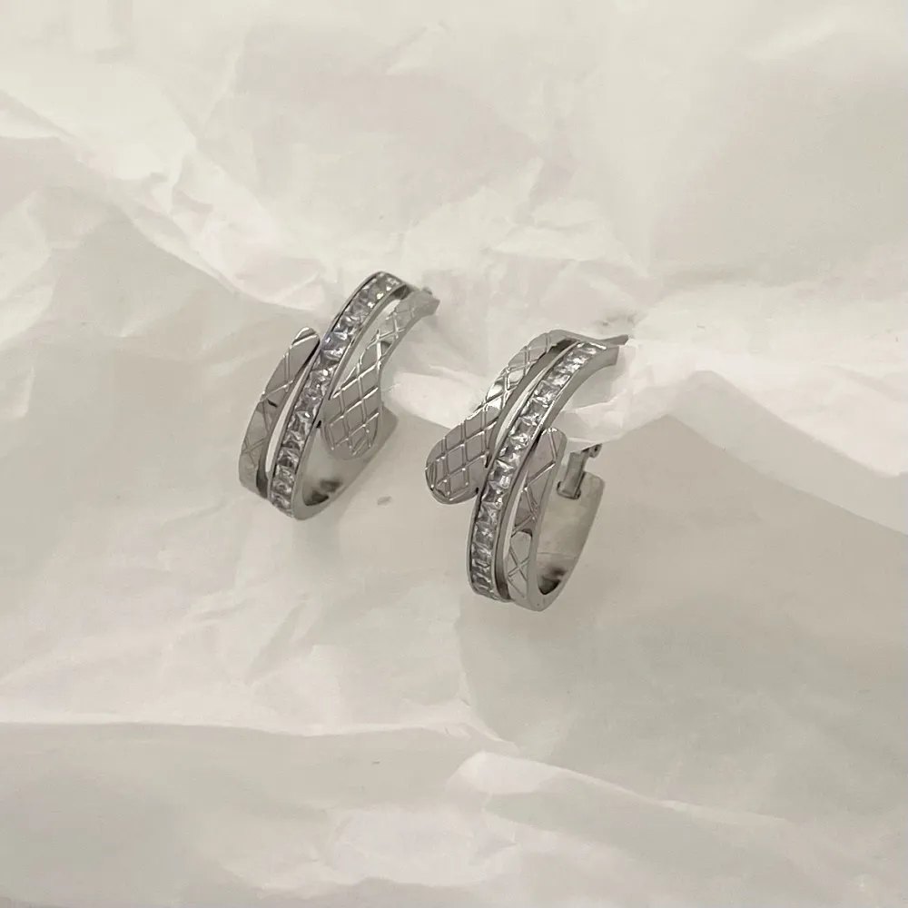 Cerchio con Serpente-Orecchini in Acciaio - OAP-413-1385