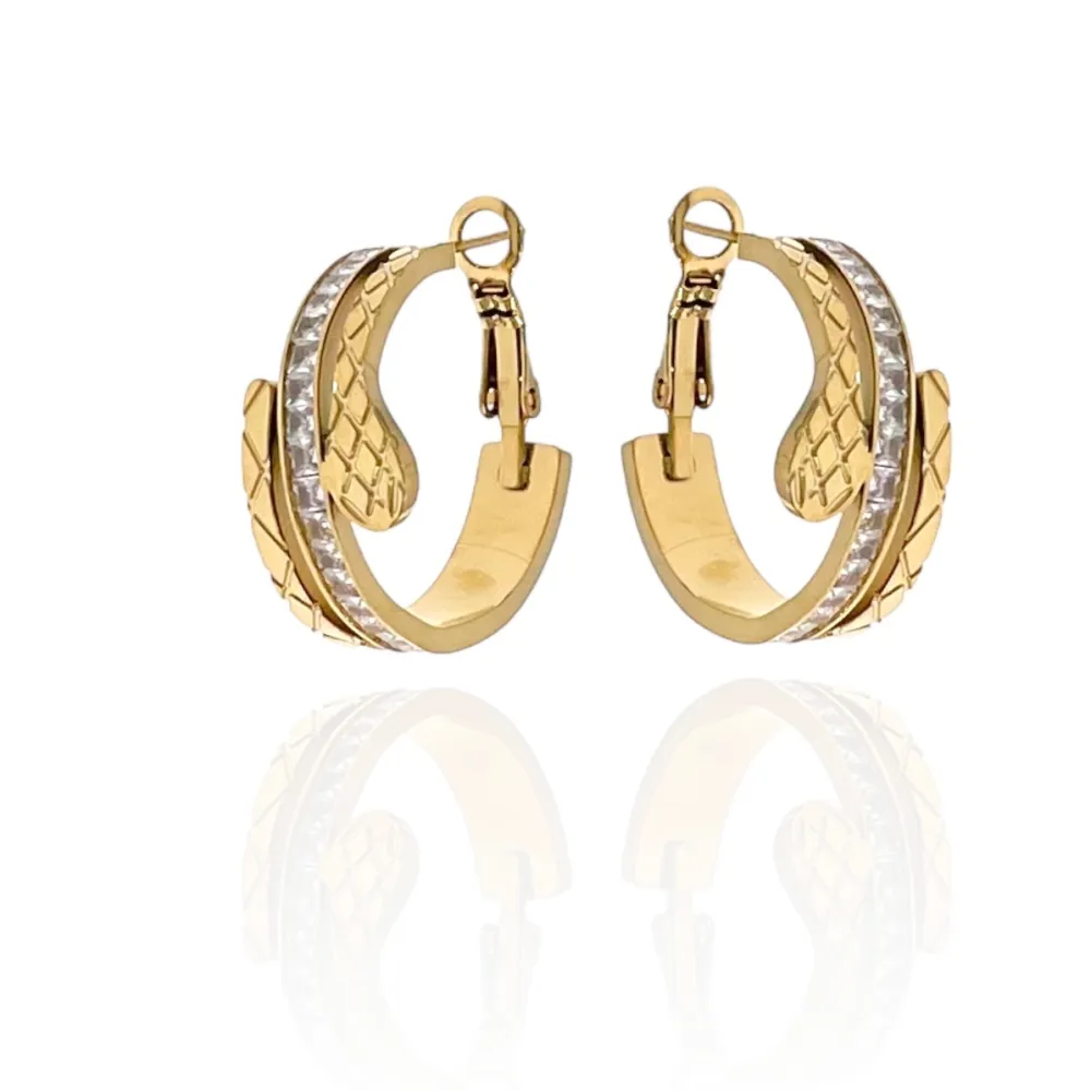 Cerchio con Serpente-Orecchini in Acciaio - OAP-413-1385