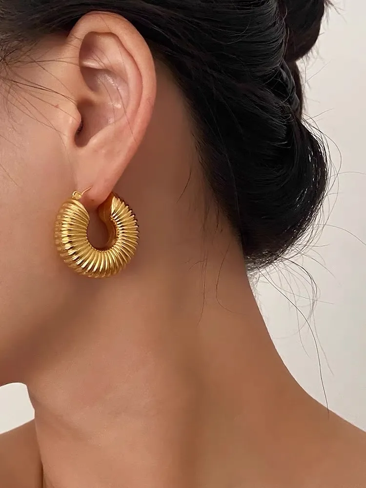 Cerchio-Orecchini in Acciaio - OAP-450-471