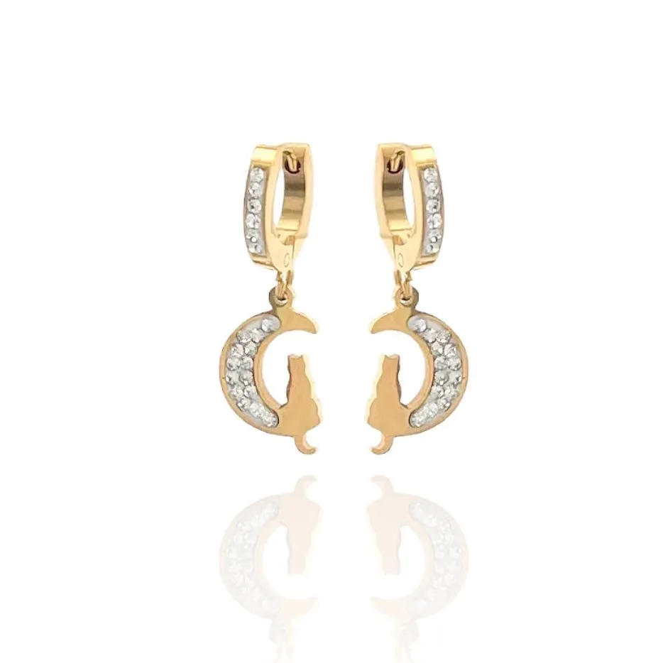 Gatto sulla Luna-Orecchini in Acciaio - OAP-450-585