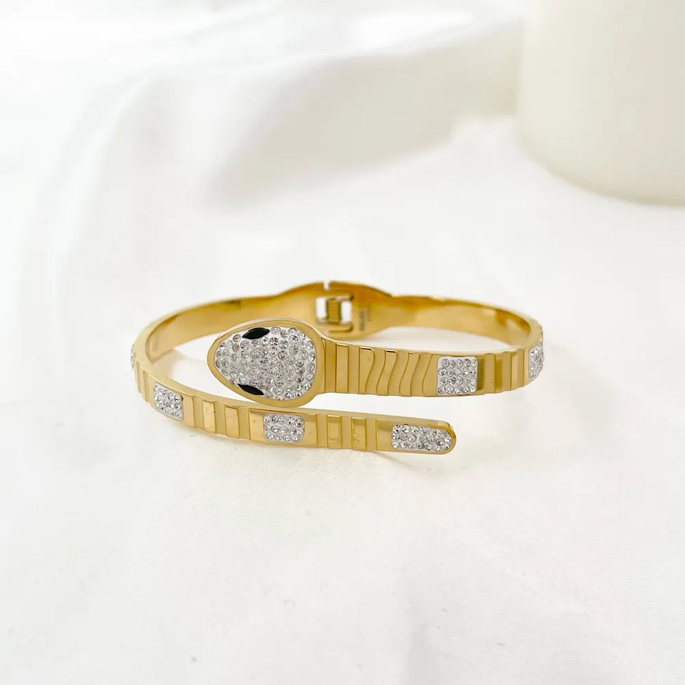 Serpente-Bracciale Rigido in Acciaio - BAR-413-S1356