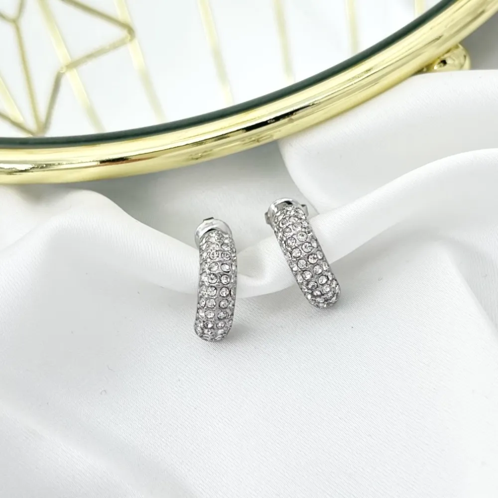 Mezzaluna con Stras-Orecchini in Acciaio - OAP-103-AA3629E