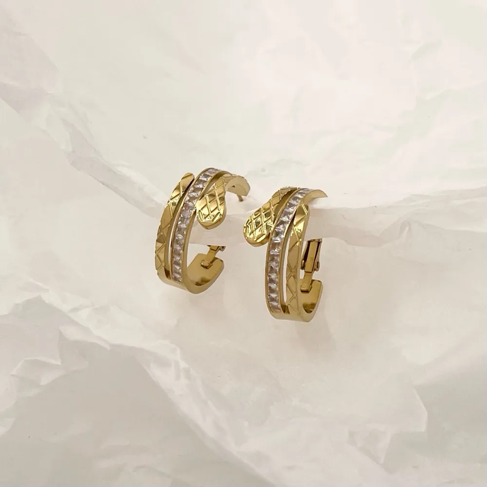 Cerchio con Serpente-Orecchini in Acciaio - OAP-413-1385