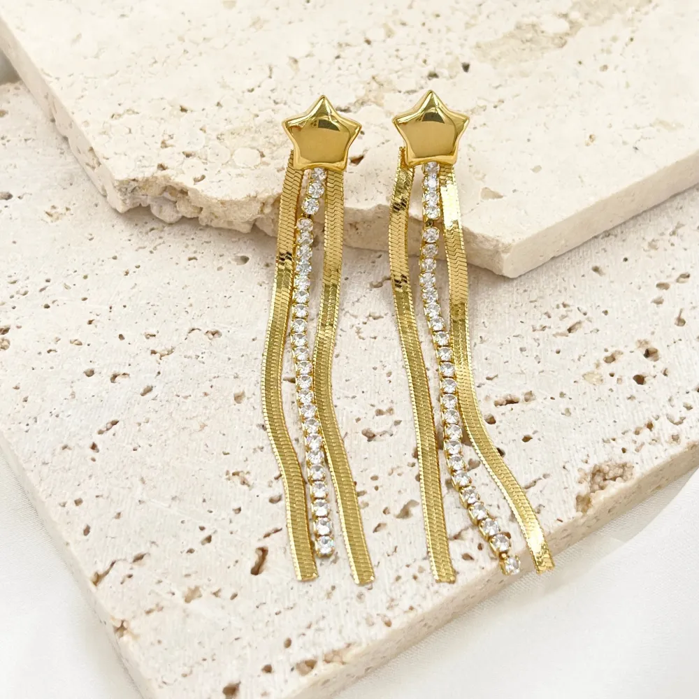 Stella e Napine -Orecchini in Acciaio - OAP-413-2421