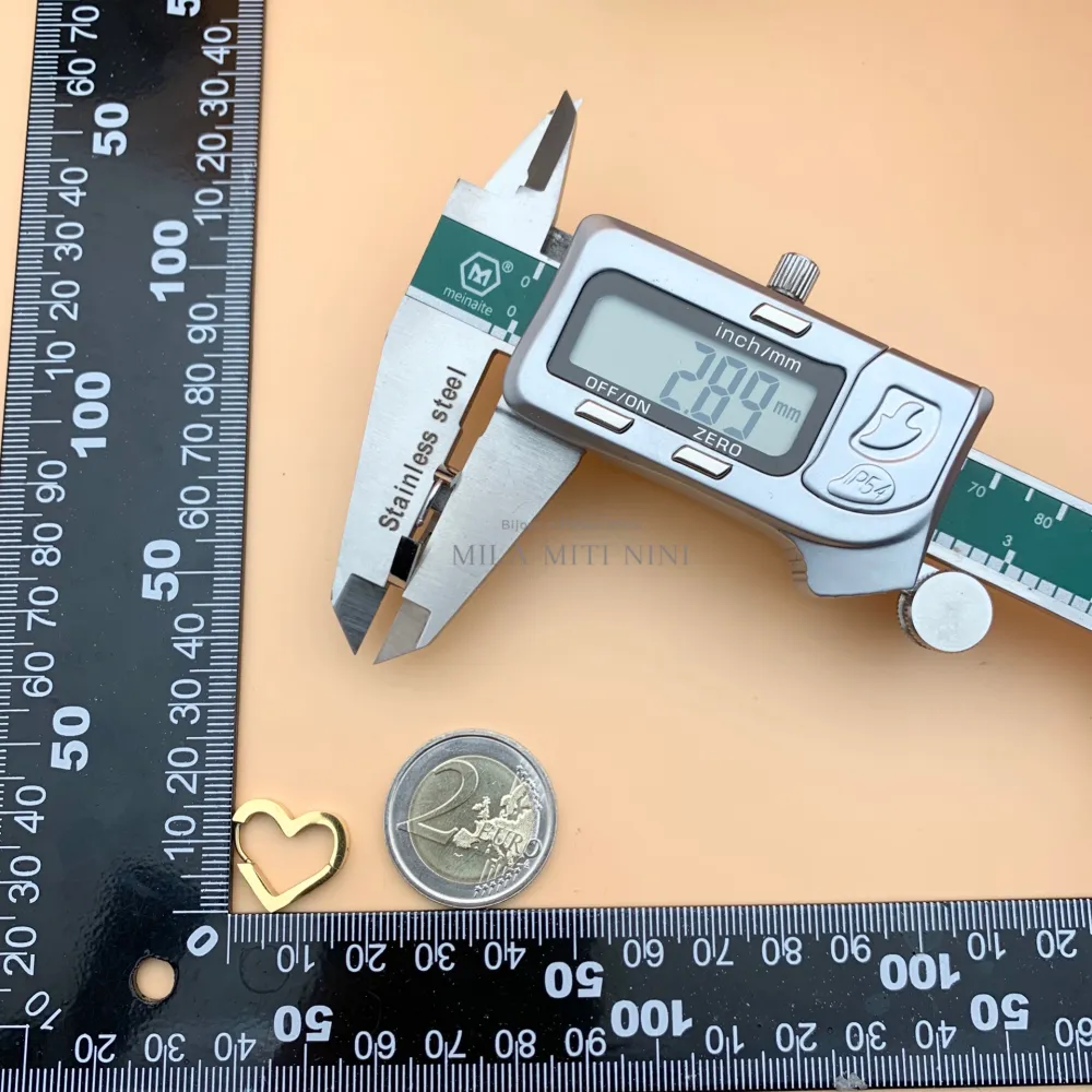 Cuore- Orecchini a Cerchio in Acciaio - OPA450-311