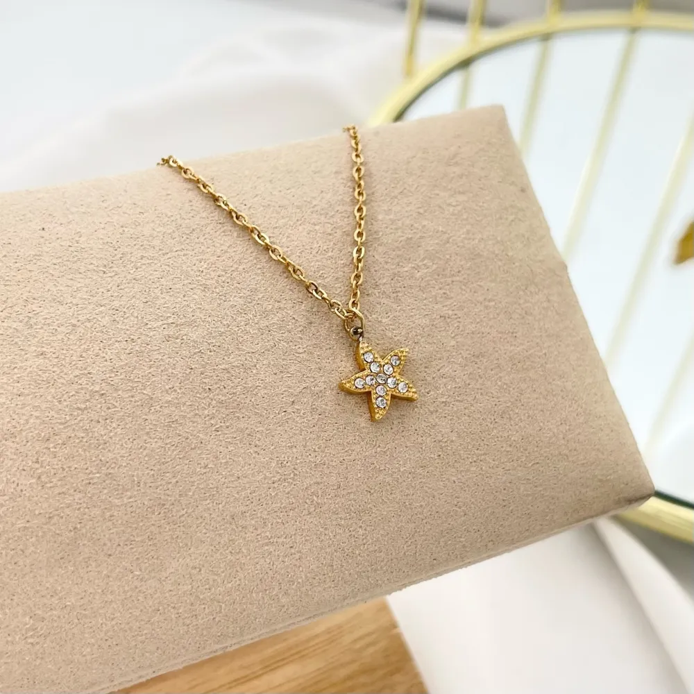 Stella Marina-Collana Girocollo in Acciaio - CAC-103-AA3490N