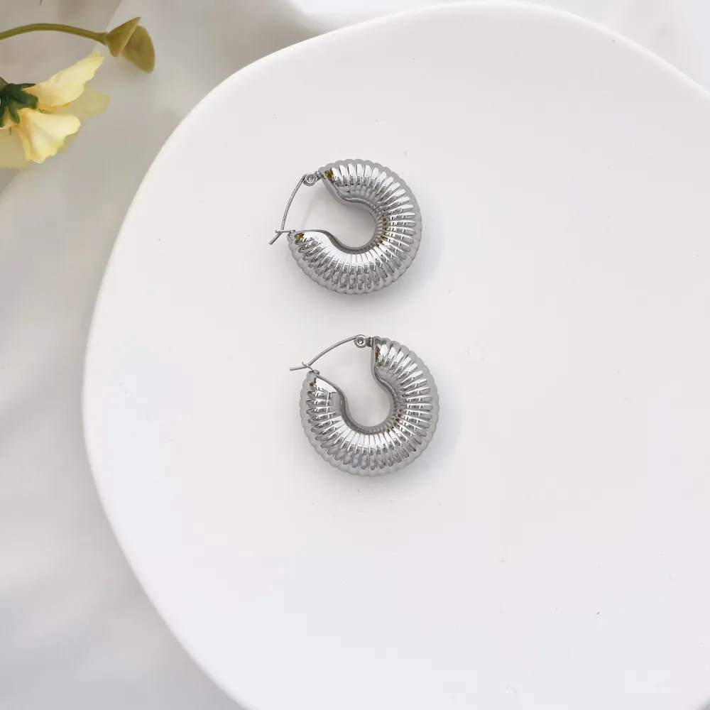 Cerchio-Orecchini in Acciaio - OAP-450-471