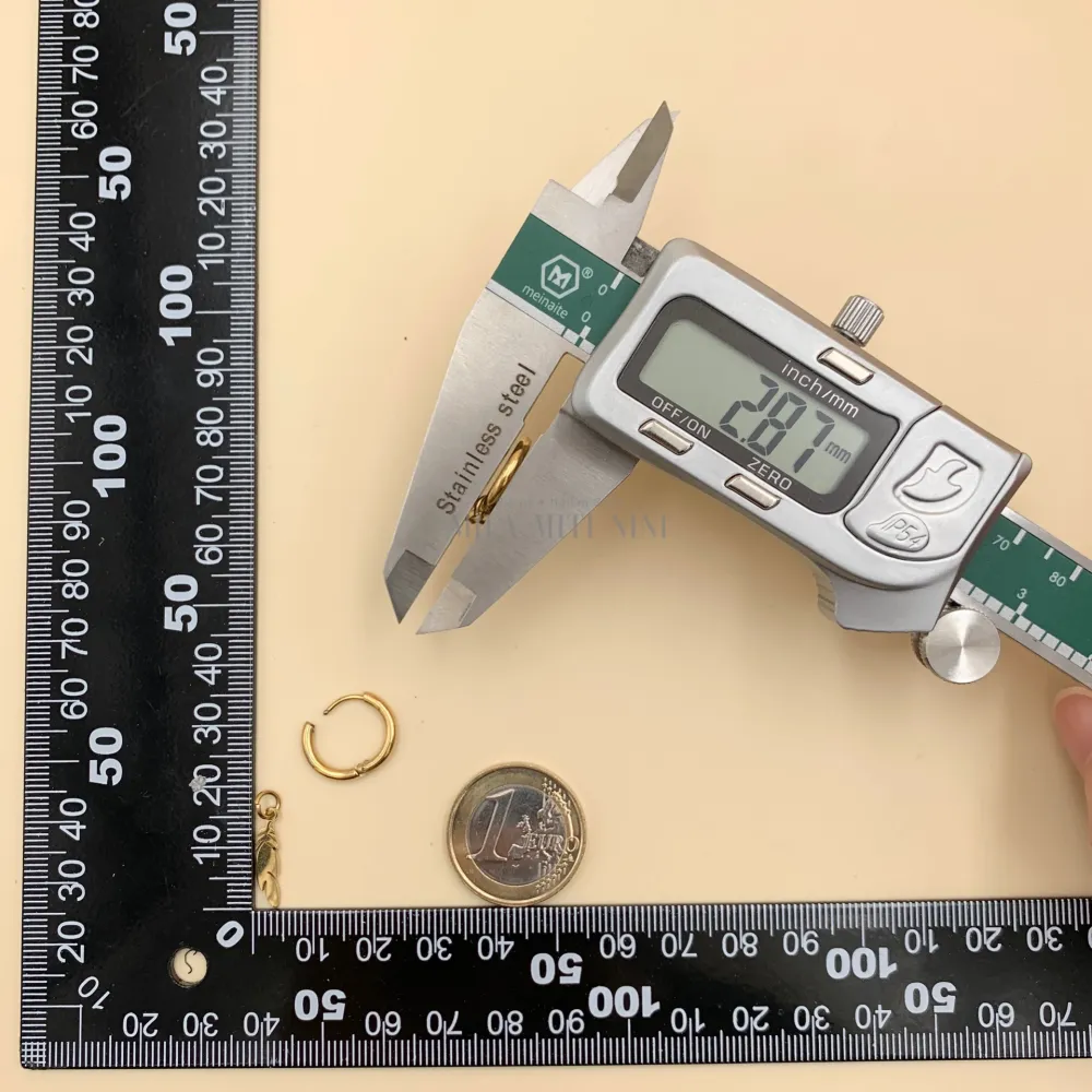 OPA450-244-Cerchio 2x10 con Piuma -12 Paia Orecchini in Acciaio