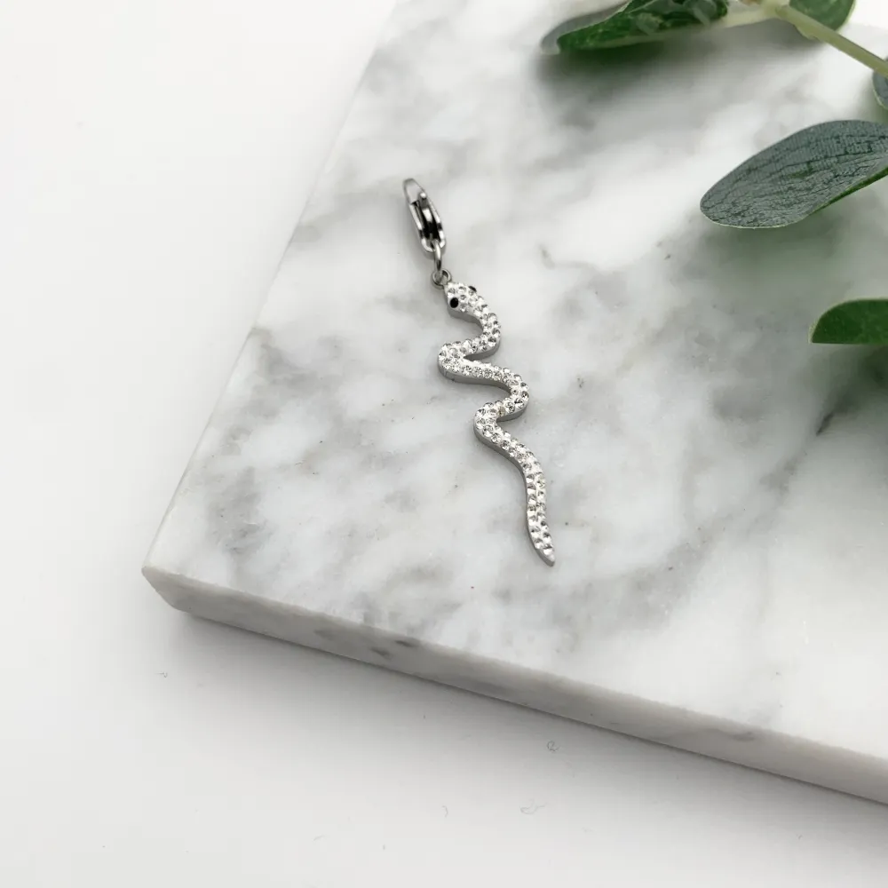 CIO7633-Serpente- Ciondolo in Acciaio