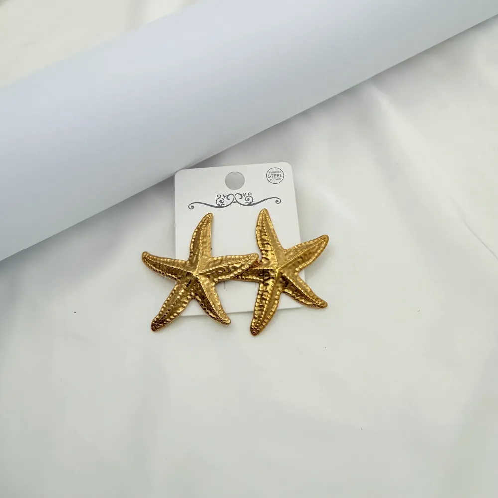 Stella Marina Grande-Orecchini in Acciaio - OR-774-01