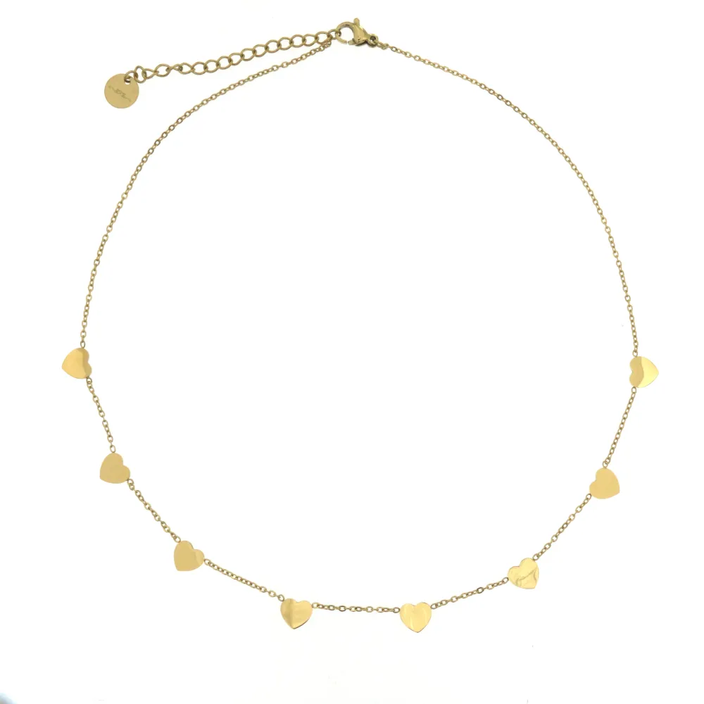 CAC-8 Cuorecini  5266 - Collana Corta in Acciaio_2