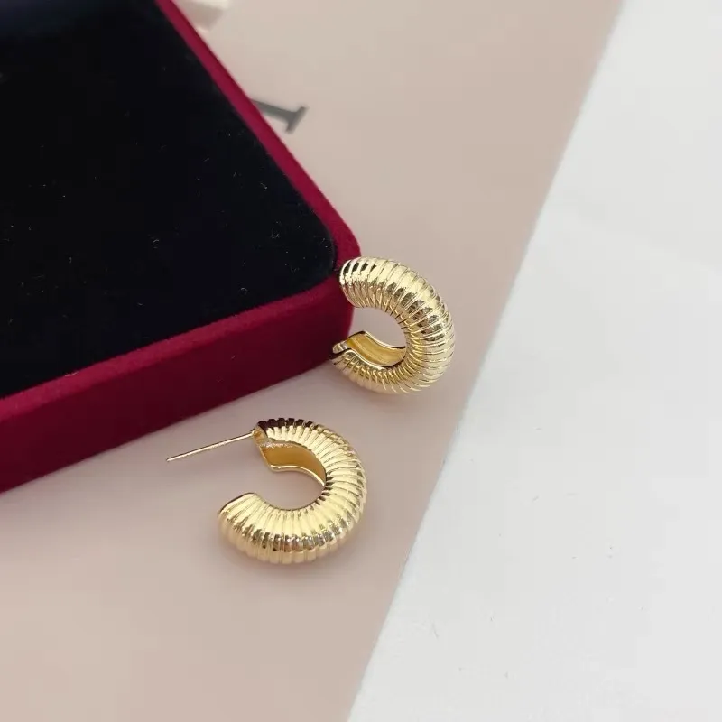 Cerchio Intrecciato -Orecchini in Acciaio - OR-103-AA4053E