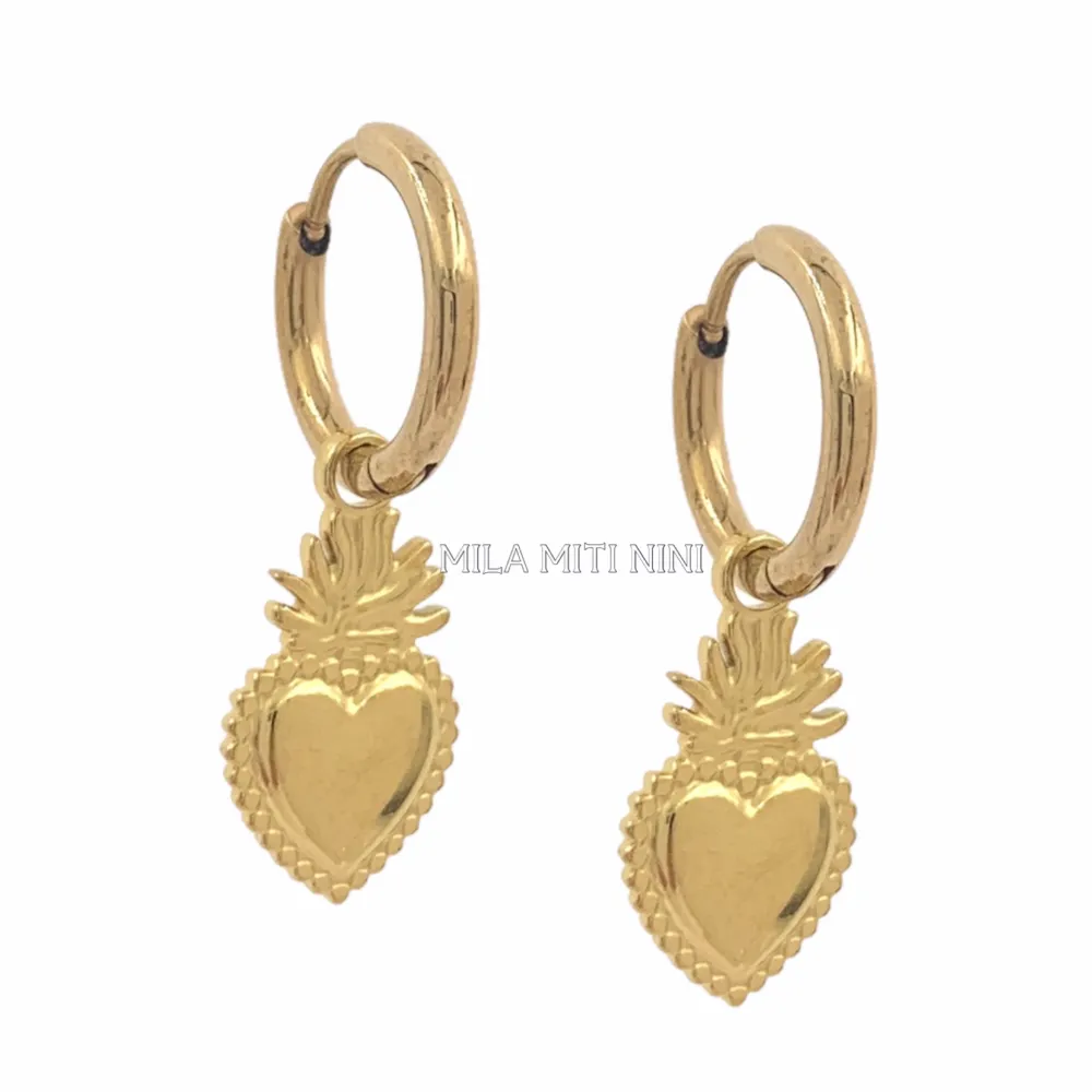 OPA450-334-Cerchi 2x10 Sarcro Cuore-12 Paia Orecchini in Acciaio_2