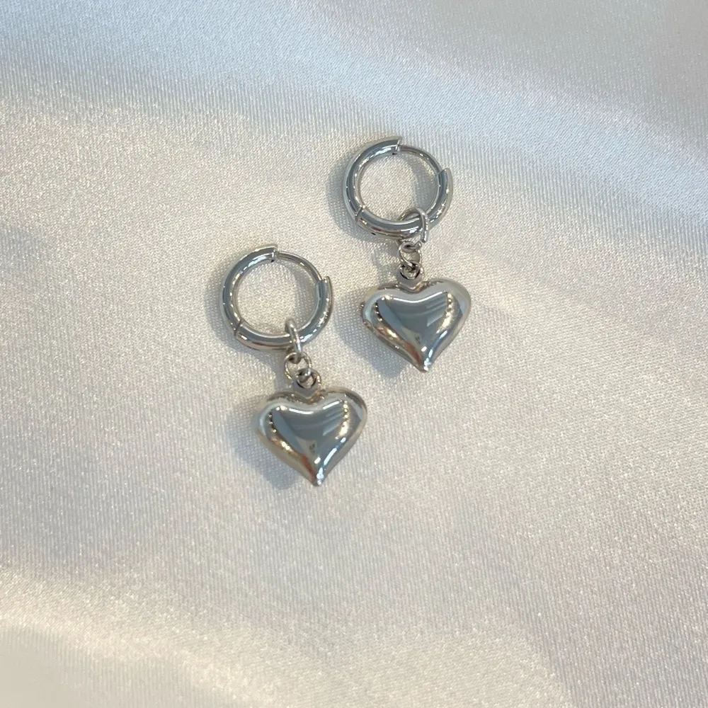 Cerchio  -Orecchini in Acciaio - OR-103-AA5900E (Argento)