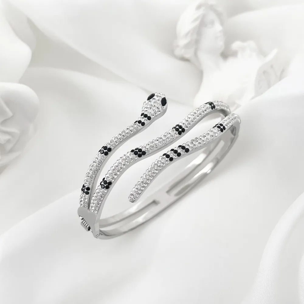 Serpente-Bracciale Rigido in Acciaio - BR-413-RT16