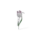 Rosa-Spilla con Zirconia - SP-506-523