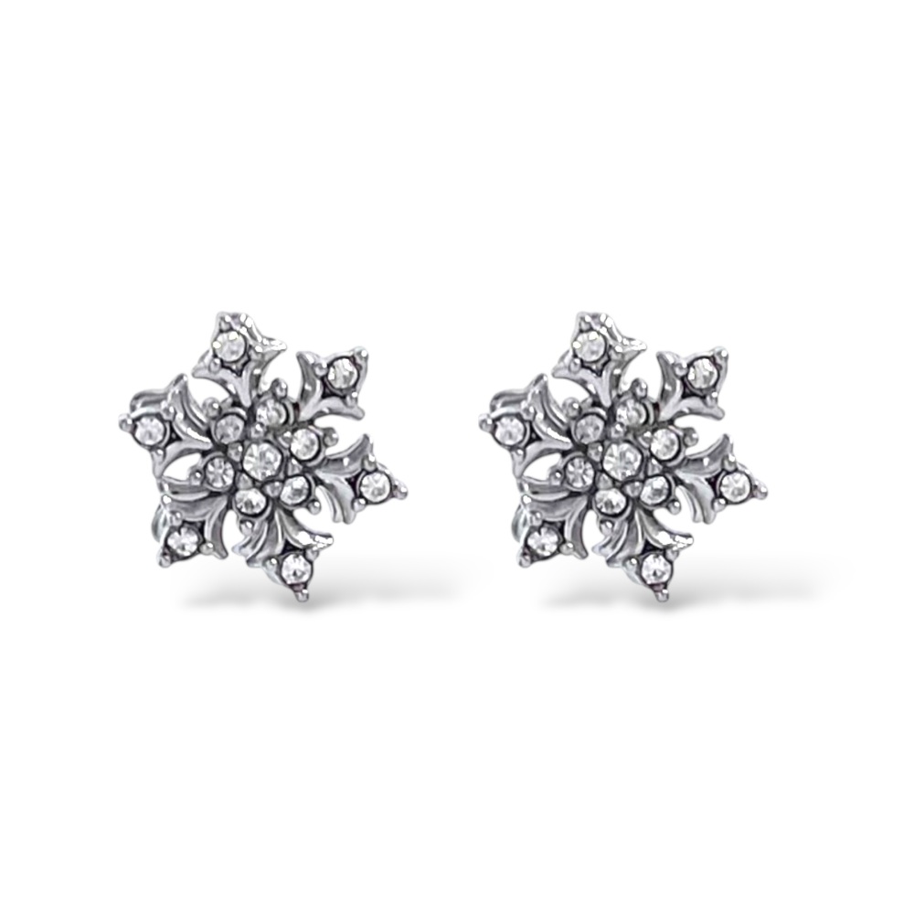 Fiocco Di Neve Spinner-Orecchini in Acciaio - OR-795-22728