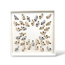 Anelli Con Zircone-36pz Anelli Regolabili in Ottone (Scatola Omaggio) - AN-105-204