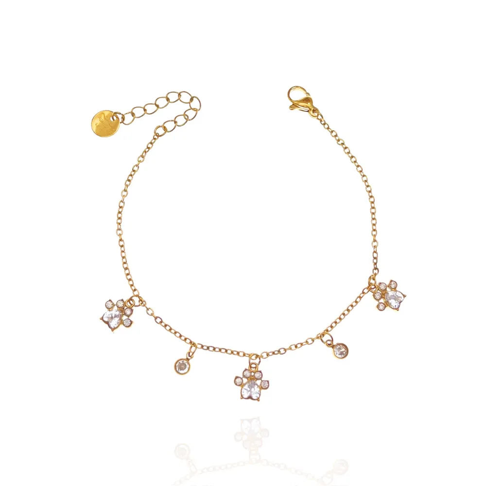 zampa punto luce-Bracciale in Acciaio - BAC-103-AA2770B