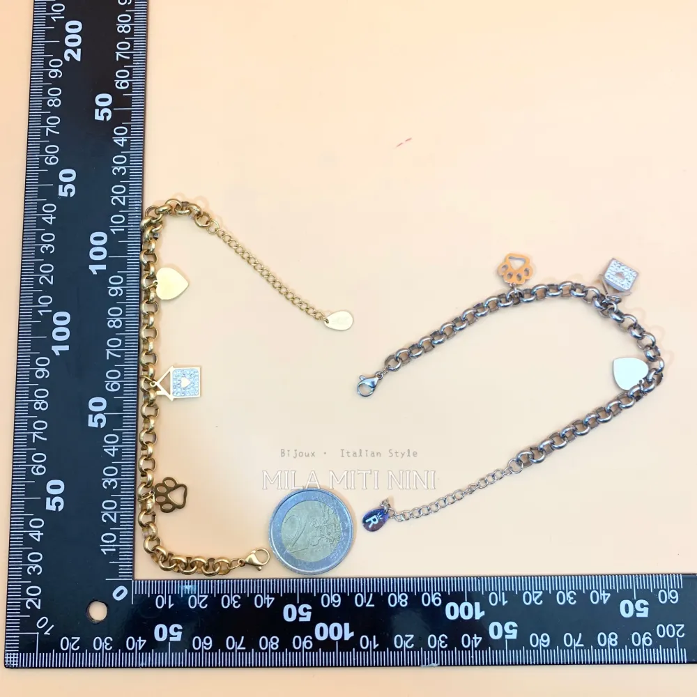 Zampa Casa Cuore -Bracciale in Acciaio con Chiusura - BAC413-1252-1