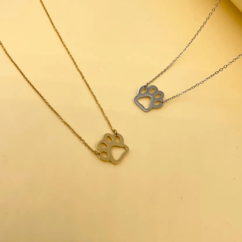 Zampa Liscia-Collana Corta in Acciaio - CAC-413-2025