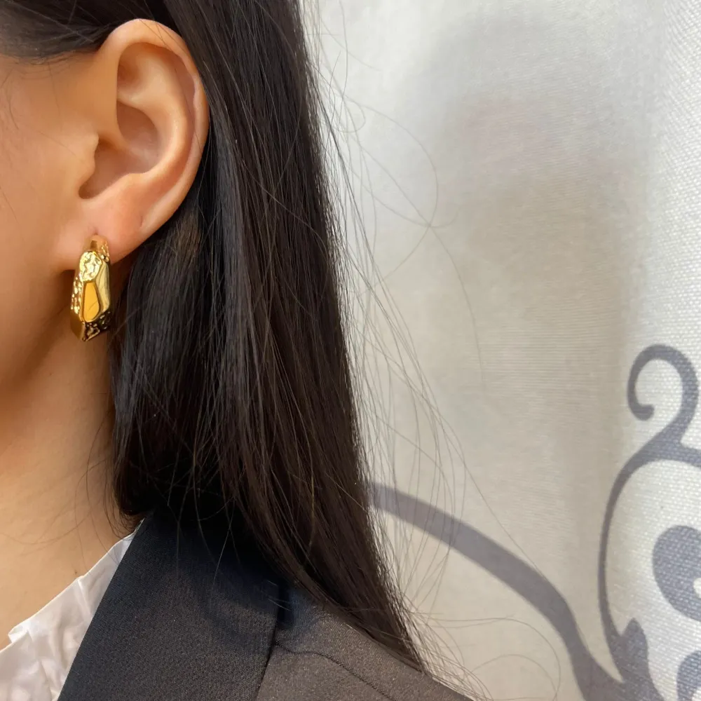 Cerchio -Orecchini a Cerchio in Acciaio - OAP-103-AA1076E (Oro Giallo)