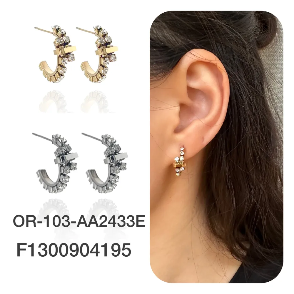 Cerchio con Zirconia-Orecchini in Acciaio - OAP-103-AA2433E (Oro Giallo)