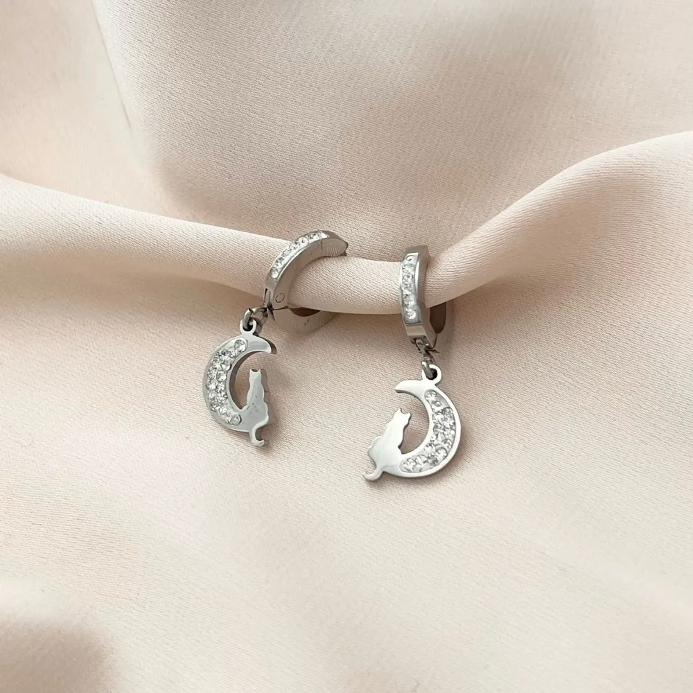 Gatto sulla Luna-Orecchini in Acciaio - OAP-450-585