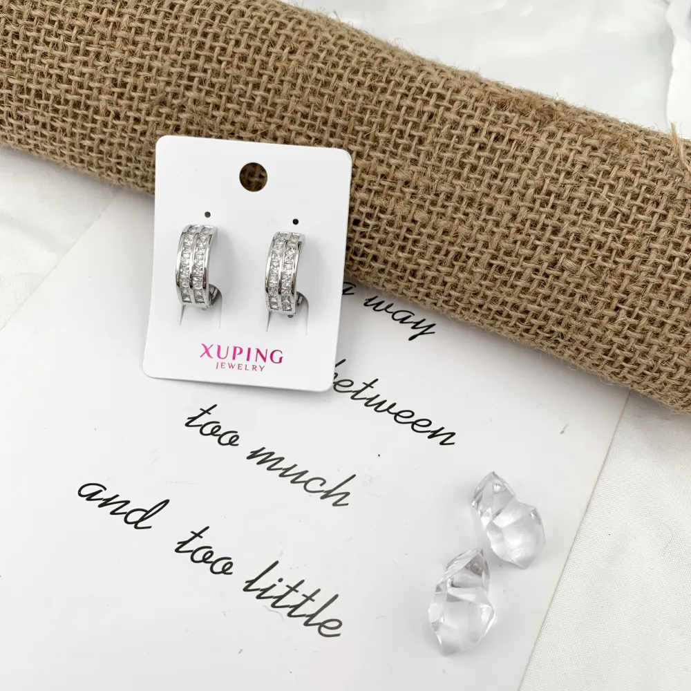 [OMZ-XP1316] Cerchio Doppio Zirconia-Orecchini con Zirconia - OMZ-XP1316