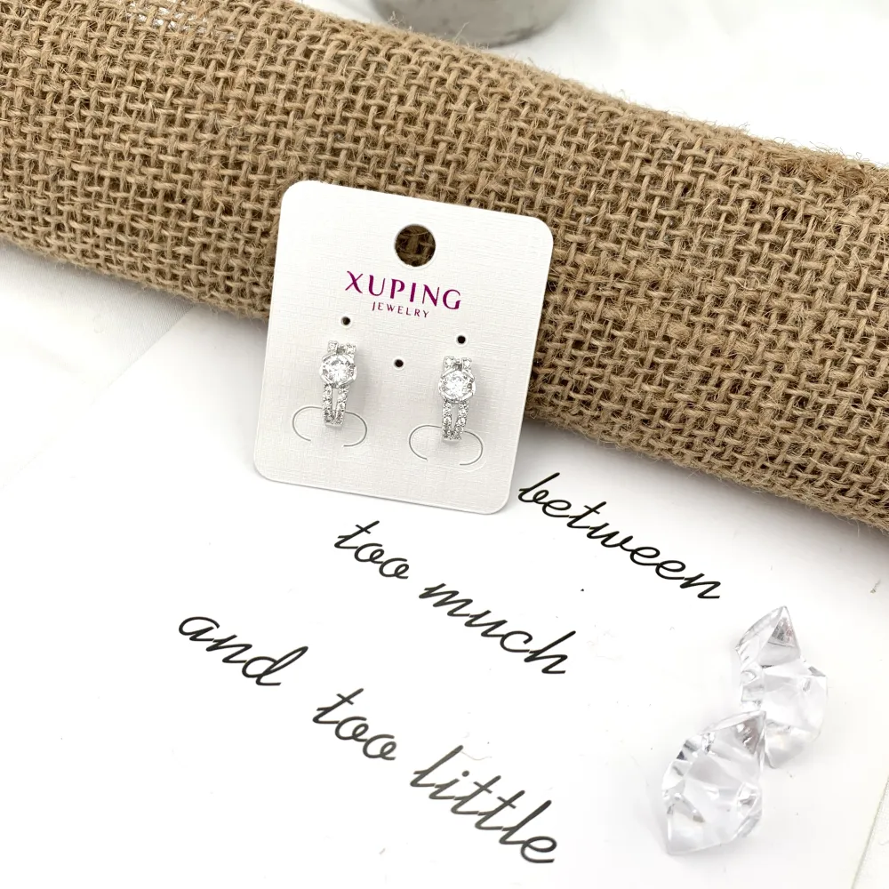 [OMZ-XP7291] Cerchio-Orecchini con Zirconia - OMZ-XP7291